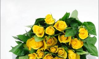 19朵玫瑰的花语是什么 19朵黄玫瑰代表什么
